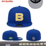 YJAA2608-008 AA 2026 World Fitted Cap 008 USD8.98