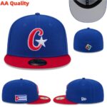 YJAA2608-009 AA 2026 World Fitted Cap 009 USD8.98