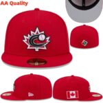 YJAA2608-010 AA 2026 World Fitted Cap 010 USD8.98