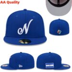 YJAA2608-012 AA 2026 World Fitted Cap 012 USD8.98