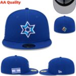 YJAA2608-015 AA 2026 World Fitted Cap 015 USD8.98