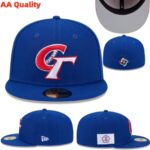 YJAA2608-016 AA 2026 World Fitted Cap 016 USD8.98