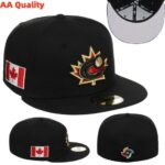 YJAA2608-018 AA 2026 World Fitted Cap 018 USD8.98