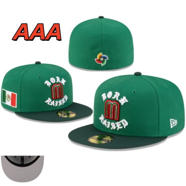 DDAA2604-009 AA 2026 World Fitted Cap 009 USD8.98