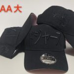 PHAA2601-053 AA Baseball Cap 053 USD8.98