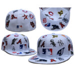 TYPT2601-101 AA Fitted Cap 101 USD8.98