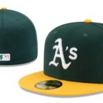 FZPT2602-025 Ordinary Classic Fitted Cap 025 USD6.68