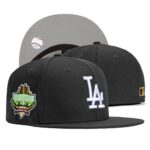LS2603-028 AA Fitted Cap 028 USD8.98