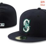 FZPT2602-064 Ordinary Classic Fitted Cap 064 USD6.68