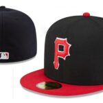 FZPT2602-072 Ordinary Classic Fitted Cap 072 USD6.68