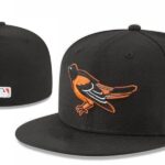 FZPT2602-078 Ordinary Classic Fitted Cap 078  USD6.68