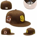 SFPT2601-028 Ordinary Fitted Cap 028 USD6.98