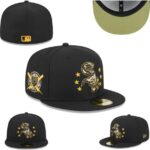 SFPT2601-098 Ordinary Fitted Cap 098 USD6.98