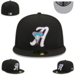 FZPT2602-173  Ordinary Classic Fitted Cap 173  USD6.68