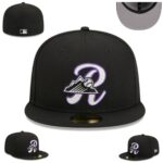 FZPT2602-209  Ordinary Classic Fitted Cap 209  USD6.68