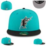 FZPT2602-213  Ordinary Classic Fitted Cap 213  USD6.68