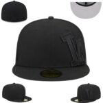 FZPT2602-249  Ordinary Classic Fitted Cap 249  USD6.68