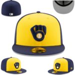 FZPT2602-095  Ordinary Classic Fitted Cap 095  USD6.68