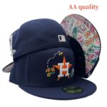 LXAA2601-004 AA Fitted Cap 004 USD8.98