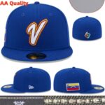 YJAA2608-025 AA 2026 World Fitted Cap 025 USD8.98