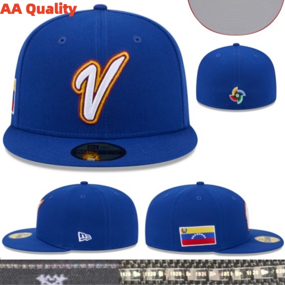 25 YJAA2608-025 AA 2026 World Fitted Cap 025 USD8.98 - Image 1