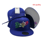LXAA2601-029 AA Fitted Cap 029 USD8.98