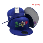 LXAA2601-047 AA Fitted Cap 047 USD8.98