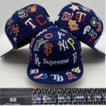 SFAA2604-052 AA Fitted Cap 052 USD10.98
