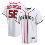 MLBJE2601-31-007 2026 WBC Baseball Jersey 007 USD16.98