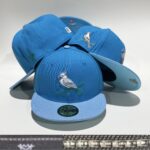 CocoAA2603-194 AA Fitted Cap 194 USD8.98