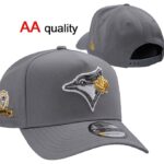YDAA2601-149 AA Baseball Cap 149 USD8.98