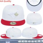 YJAA2602-237 AA Fitted Cap 237 USD8.98