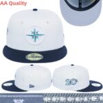 YJAA2602-238 AA Fitted Cap 238 USD8.98