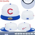 YJAA2602-244 AA Fitted Cap 244 USD8.98