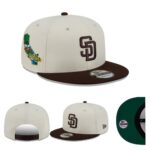 LS2601-266 AA Baseball Cap 266 USD8.98