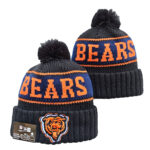 NFLKH2601-276 Sport Knit Hat 276 USD6.98