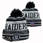 NFLKH2601-347 Sport Knit Hat 347 USD6.98