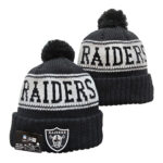 NFLKH2601-359 Sport Knit Hat 359 USD6.98