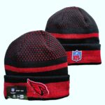 NFLKH2601-138 Sport Knit Hat 138 USD6.98