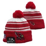 NFLKH2601-139 Sport Knit Hat 139 USD6.98