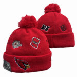 NFLKH2601-142 Sport Knit Hat 142 USD6.98