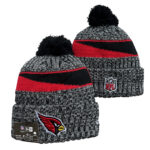 NFLKH2601-143 Sport Knit Hat 143 USD6.98