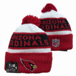 NFLKH2601-144 Sport Knit Hat 144 USD6.98