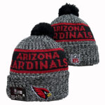NFLKH2601-145 Sport Knit Hat 145 USD6.98