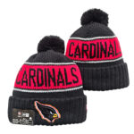 NFLKH2601-152 Sport Knit Hat 152 USD6.98