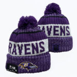 NFLKH2601-173 Sport Knit Hat 173 USD6.98