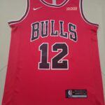 NBAJE2601-02-050 Chicago Bulls Basketball Jersey 050 USD12.98