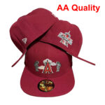 CocoAA2610-023 AA Fitted Cap 023 USD8.98