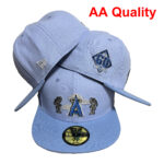 CocoAA2610-024 AA Fitted Cap 024 USD8.98