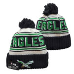 NFLKH2601-495 Sport Knit Hat 495 USD6.98